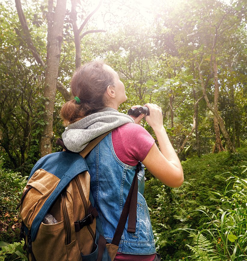 Woman hiker watching through binoculars wild birds in the rainforest. Bird watching tours. Ecotourism concept image travel.